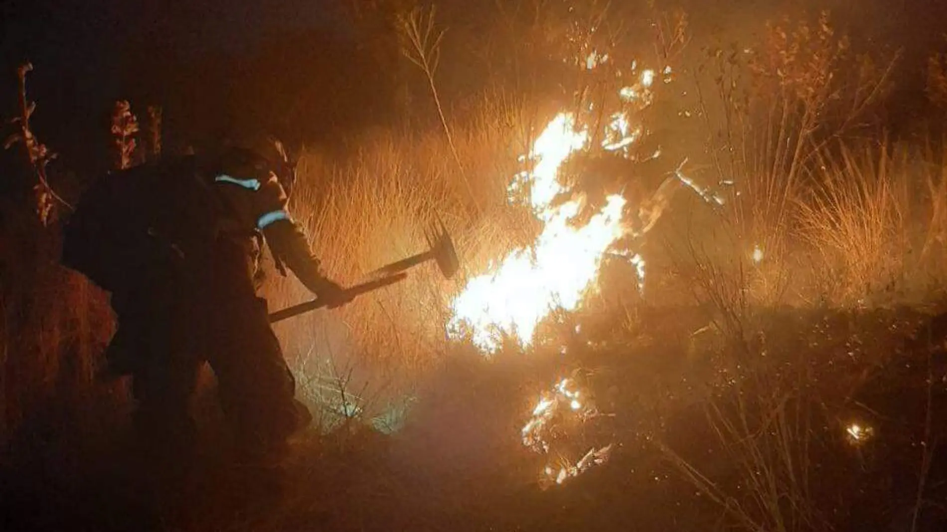 Incendio forestal en el carro de El Tajo